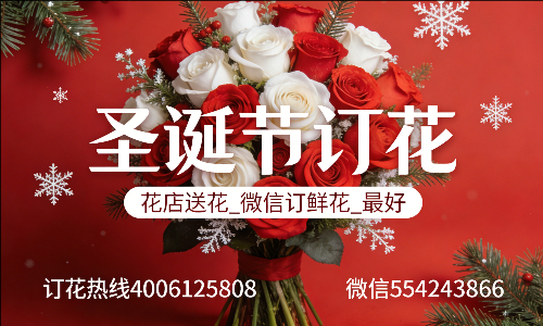 ��ݸݸ��������