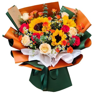 ��ݸݸ��������
